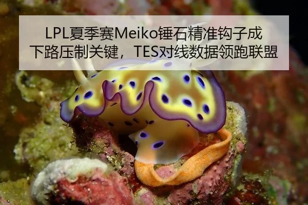 LPL夏季赛Meiko锤石精准钩子成下路压制关键，TES对线数据领跑联盟