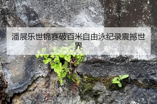 潘展乐世锦赛破百米自由泳纪录震撼世界