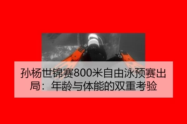sun-yang-shi-jin-sai-mi-zi-you-yong-yu-sai-chu-ju-nian-ling-yu-ti-neng-de-shuang-chong-kao-yan-3-590.jpg